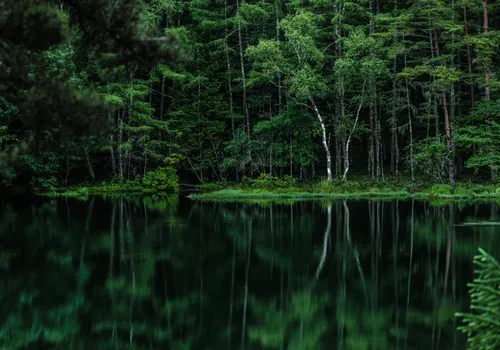 Image of Elevate strategic risk management